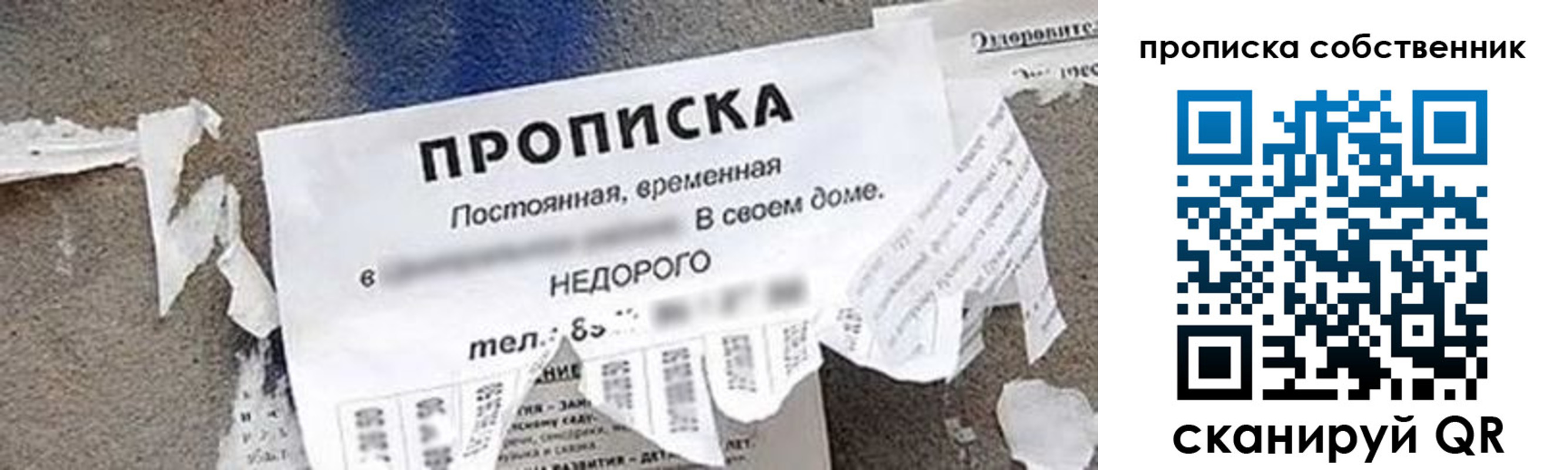 пропишу в квартире в Королёве